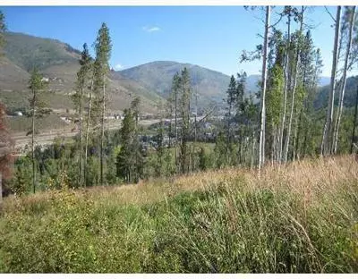 2275 Alpine Dr, Vail, CO 81657 photo 6