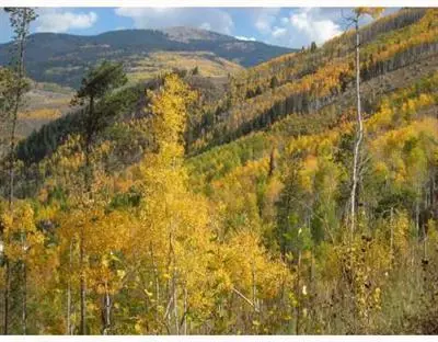 2275 Alpine Dr, Vail, CO 81657 photo 4
