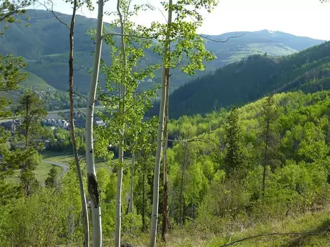 2277 Alpine Dr, Vail, CO 81657 photo 8