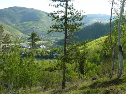 2277 Alpine Dr, Vail, CO 81657 photo 9