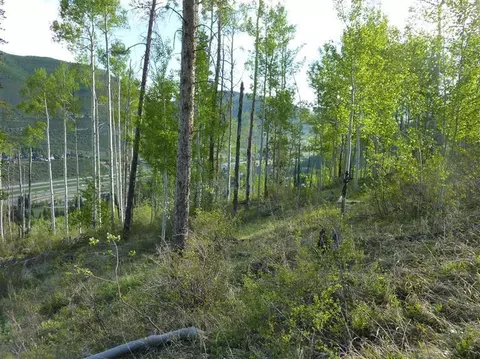 2277 Alpine Dr, Vail, CO 81657 photo 5