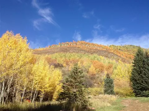 1967 Circle Dr, Vail, CO 81657 photo 9