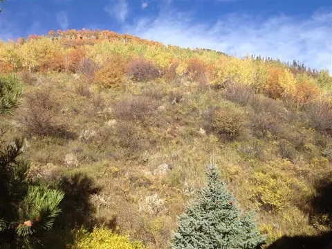 1967 Circle Dr, Vail, CO 81657 photo 2