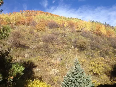 1967 Circle Dr, Vail, CO 81657 photo 1