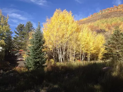 1967 Circle Dr, Vail, CO 81657 photo 10