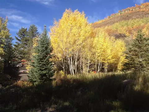 1967 Circle Dr, Vail, CO 81657 photo 11