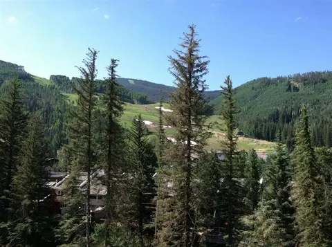 442 S Frontage Rd E #301B, Vail, CO 81657 photo 16