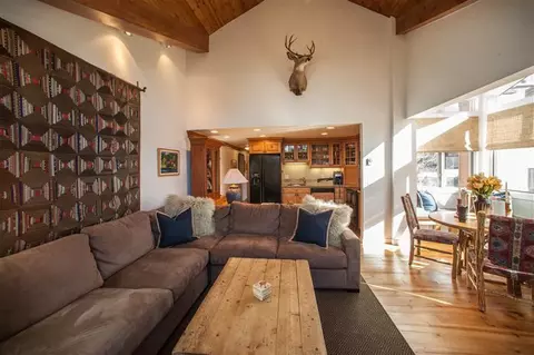 442 S Frontage Rd E #301B, Vail, CO 81657 photo 4