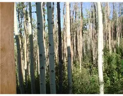 137 Black Bear, Edwards, CO 81632 photo 2