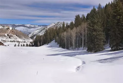 1650 Red Draw Rd, Edwards, CO 81632 photo 3