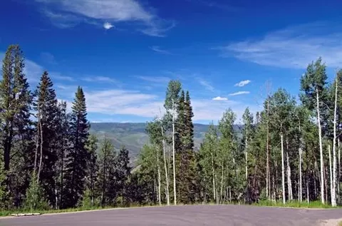 1029 Forest Trl, Edwards, CO 81632 photo 11