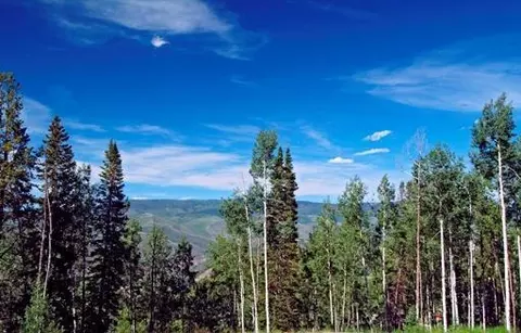 1029 Forest Trl, Edwards, CO 81632 photo 7