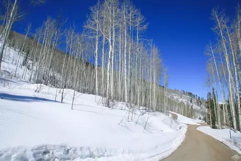 1029 Forest Trl, Edwards, CO 81632 photo 2