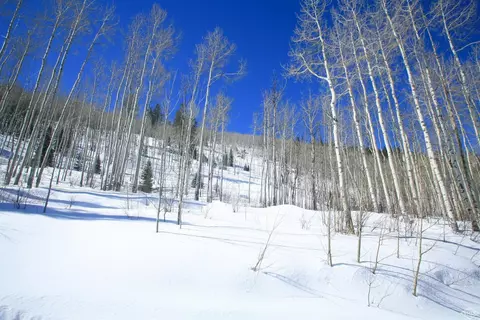 1029 Forest Trl, Edwards, CO 81632 photo 6