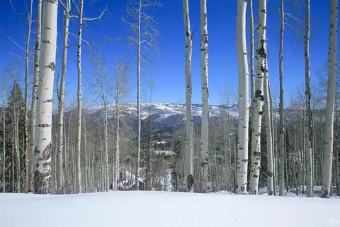 1029 Forest Trl, Edwards, CO 81632 photo 5