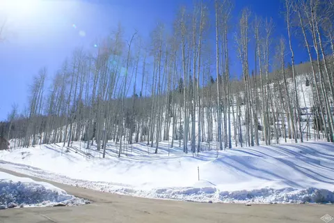 1029 Forest Trl, Edwards, CO 81632 photo 4