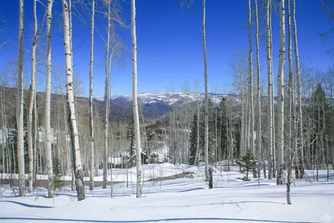 1029 Forest Trl, Edwards, CO 81632 photo 1