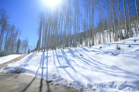 1029 Forest Trl, Edwards, CO 81632 photo 3