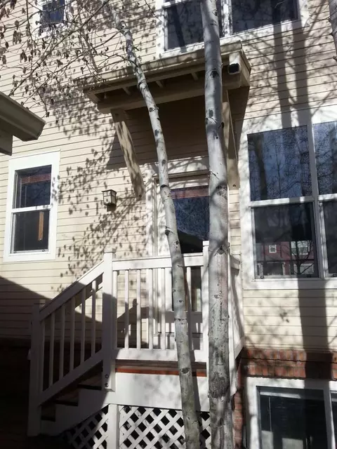 41 Macdonald St, Eagle, CO 81631 photo 2