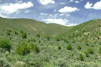 217 Spring Creek Ln, Edwards, CO 81637 photo 4