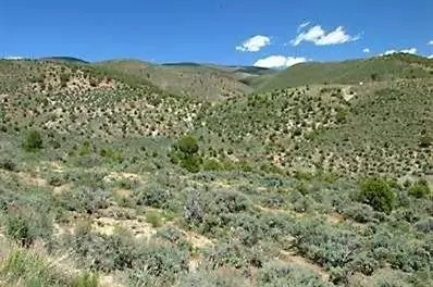 217 Spring Creek Ln, Edwards, CO 81637 photo 5