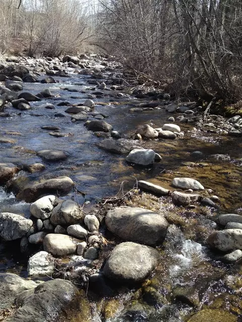 119 Brook Pl, Edwards, CO 81632 photo 3