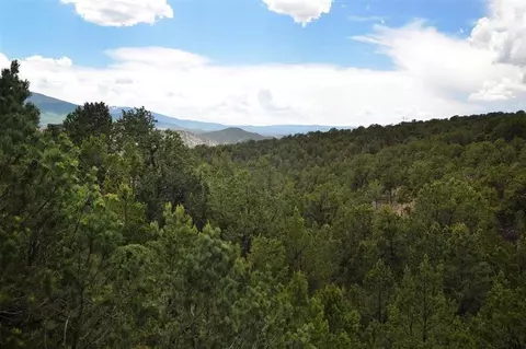 1167 Mesa Dr, Eagle, CO 81631 photo 22