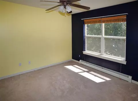 50 Macdonald St, Eagle, CO 81631 photo 11
