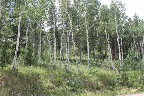 124 Forest Trl, Edwards, CO 81632 photo 10
