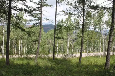 124 Forest Trl, Edwards, CO 81632 photo 8