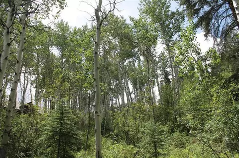 124 Forest Trl, Edwards, CO 81632 photo 5