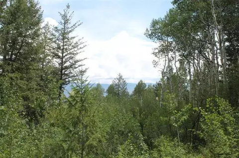 124 Forest Trl, Edwards, CO 81632 photo 1