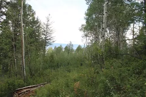 124 Forest Trl, Edwards, CO 81632 photo 3