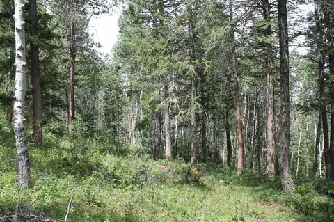 124 Forest Trl, Edwards, CO 81632 photo 6