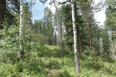 124 Forest Trl, Edwards, CO 81632 photo 7