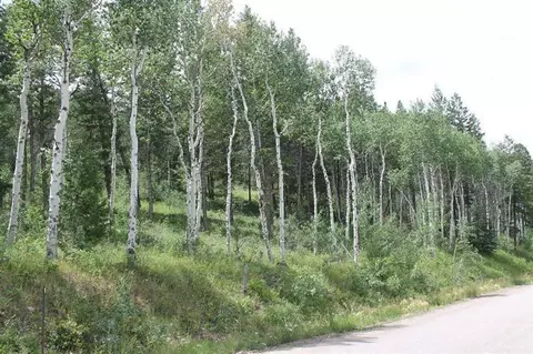 124 Forest Trl, Edwards, CO 81632 photo 11