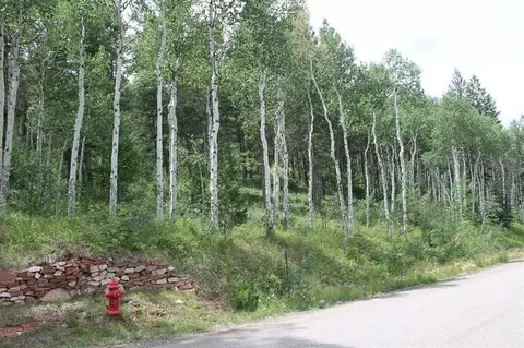 124 Forest Trl, Edwards, CO 81632 photo 12