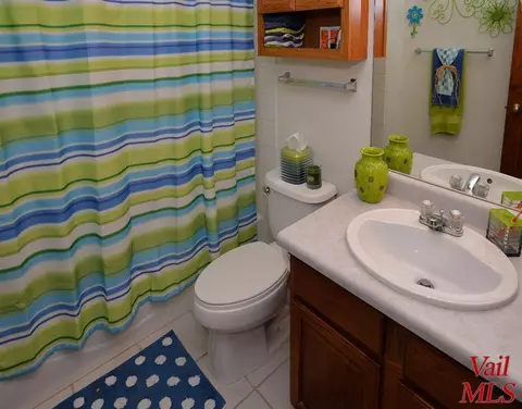 121 Ring Nck, Eagle, CO 81631 photo 10