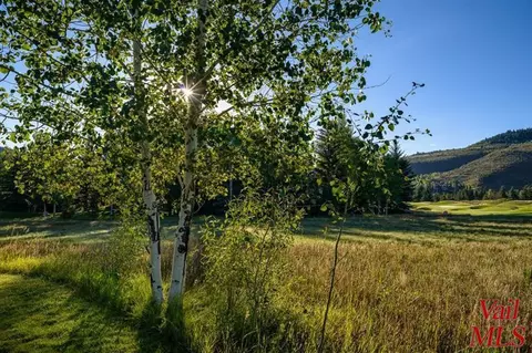 175 Riverbend Dr, Edwards, CO 81620 photo 5