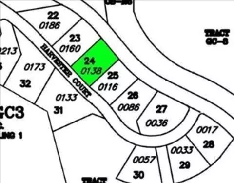 138 Harvester Ct, Eagle, CO 81631 photo 5