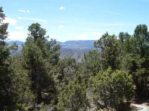 790 Mesa Dr, Eagle, CO 81631 photo 7