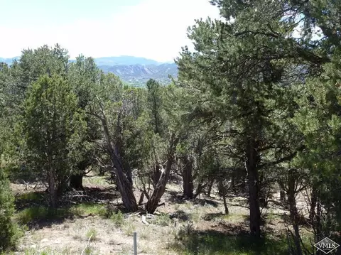 790 Mesa Dr, Eagle, CO 81631 photo 9