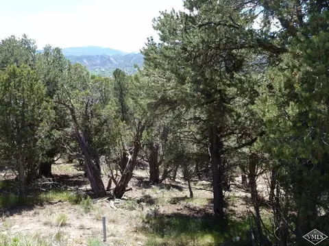 790 Mesa Dr, Eagle, CO 81631 photo 8