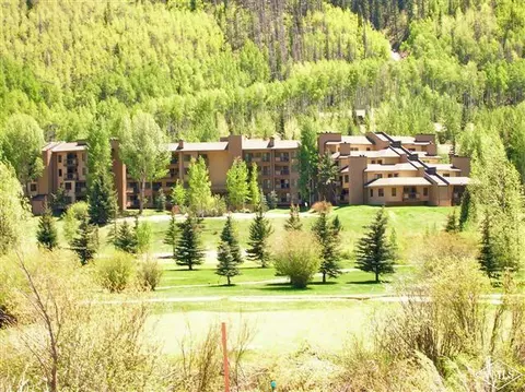 1650 Fallridge Rd #118, Vail, CO 81657 photo 3