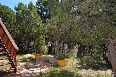 592 Mesa Dr, Eagle, CO 81631 photo 10