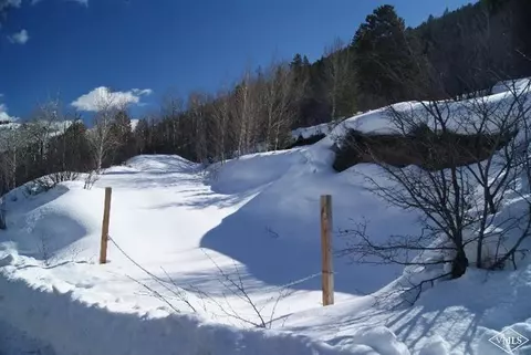 882 Eagle Dr, Avon, CO 81620 photo 4