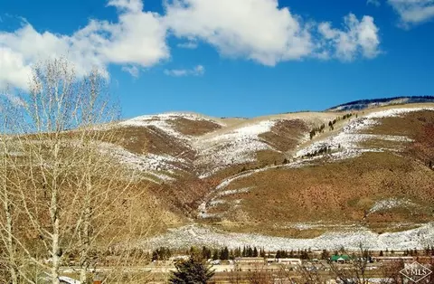 882 Eagle Dr, Avon, CO 81620 photo 5