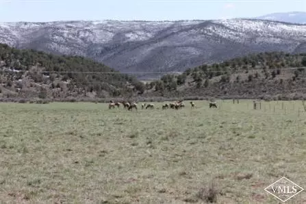 1900 Castle Peak Ranch Rd, Eagle, CO 81631 photo 3