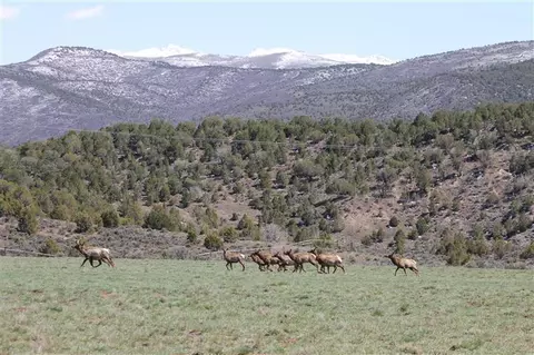 1900 Castle Peak Ranch Rd, Eagle, CO 81631 photo 1