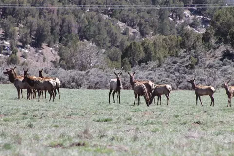 1900 Castle Peak Ranch Rd, Eagle, CO 81631 photo 2